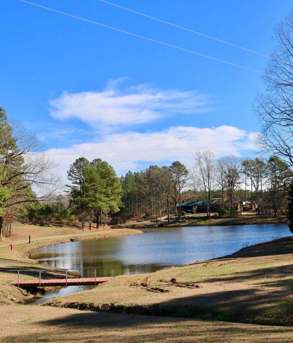 VIEW OF RIVER AGAINST TREES