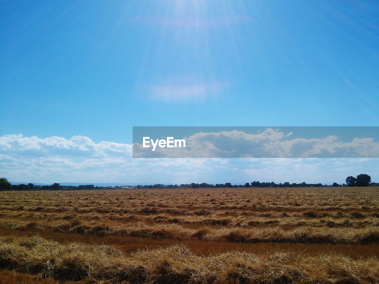 Tranquil view of agricultural field on sunny day