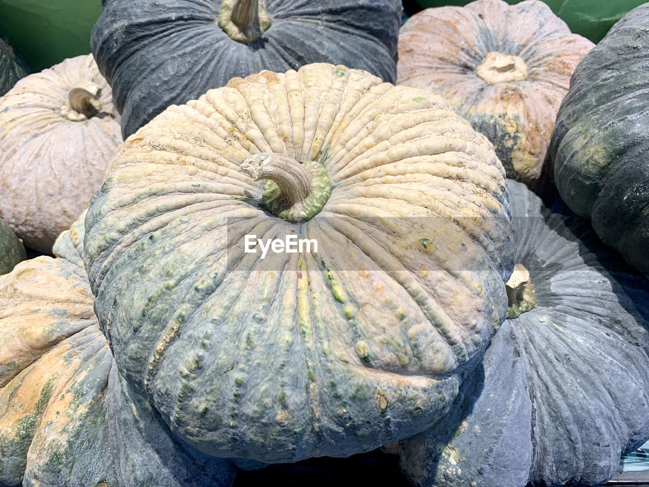 food and drink, food, pumpkin, vegetable, healthy eating, freshness, wellbeing, no people, winter squash, produce, gourd, nature, squash - vegetable, organic, market, day, high angle view, squash, outdoors, close-up, still life, agriculture, plant, for sale, land, abundance
