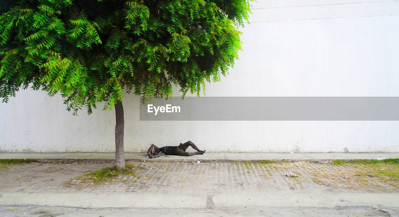 Side view of destitute poor man on sidewalk under tree