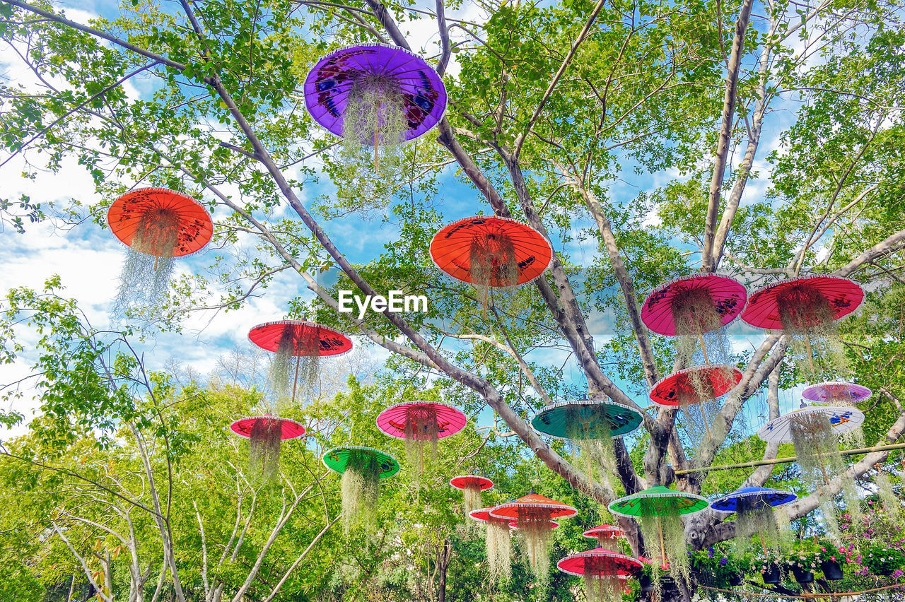 Multi-colored umbrellas decorated on trees,for landscaping.