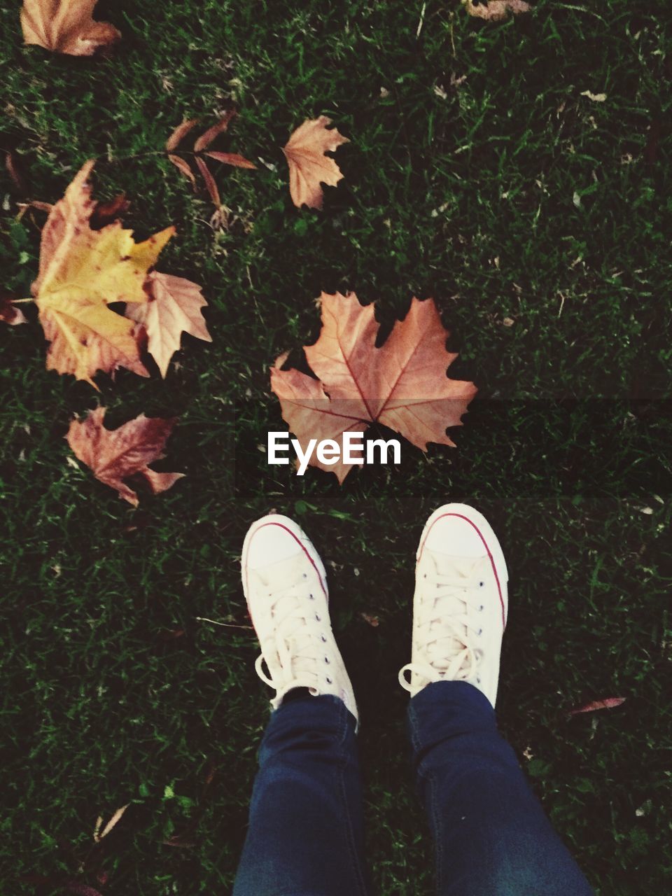 Low section of person standing on field during autumn