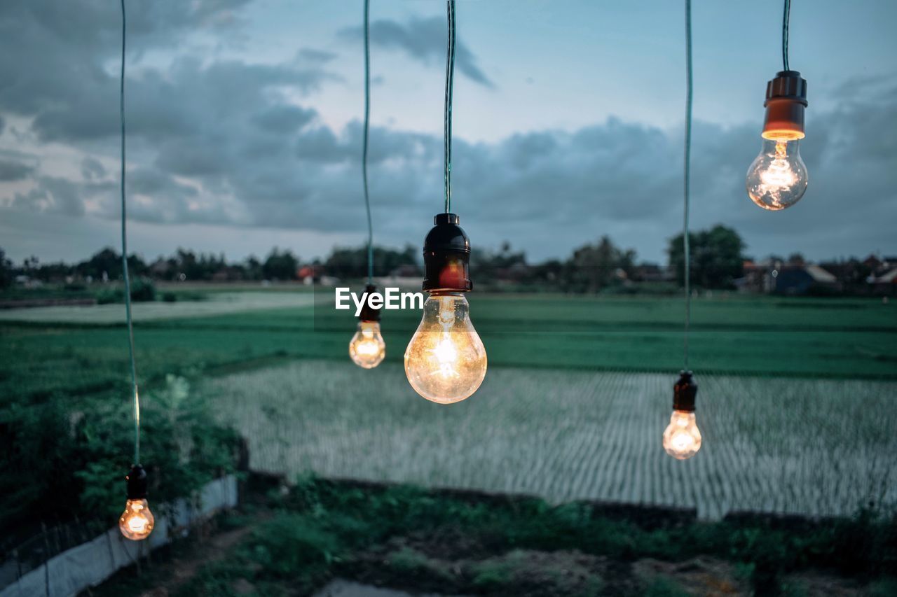 Close-up of illuminated light bulbs against field and sky