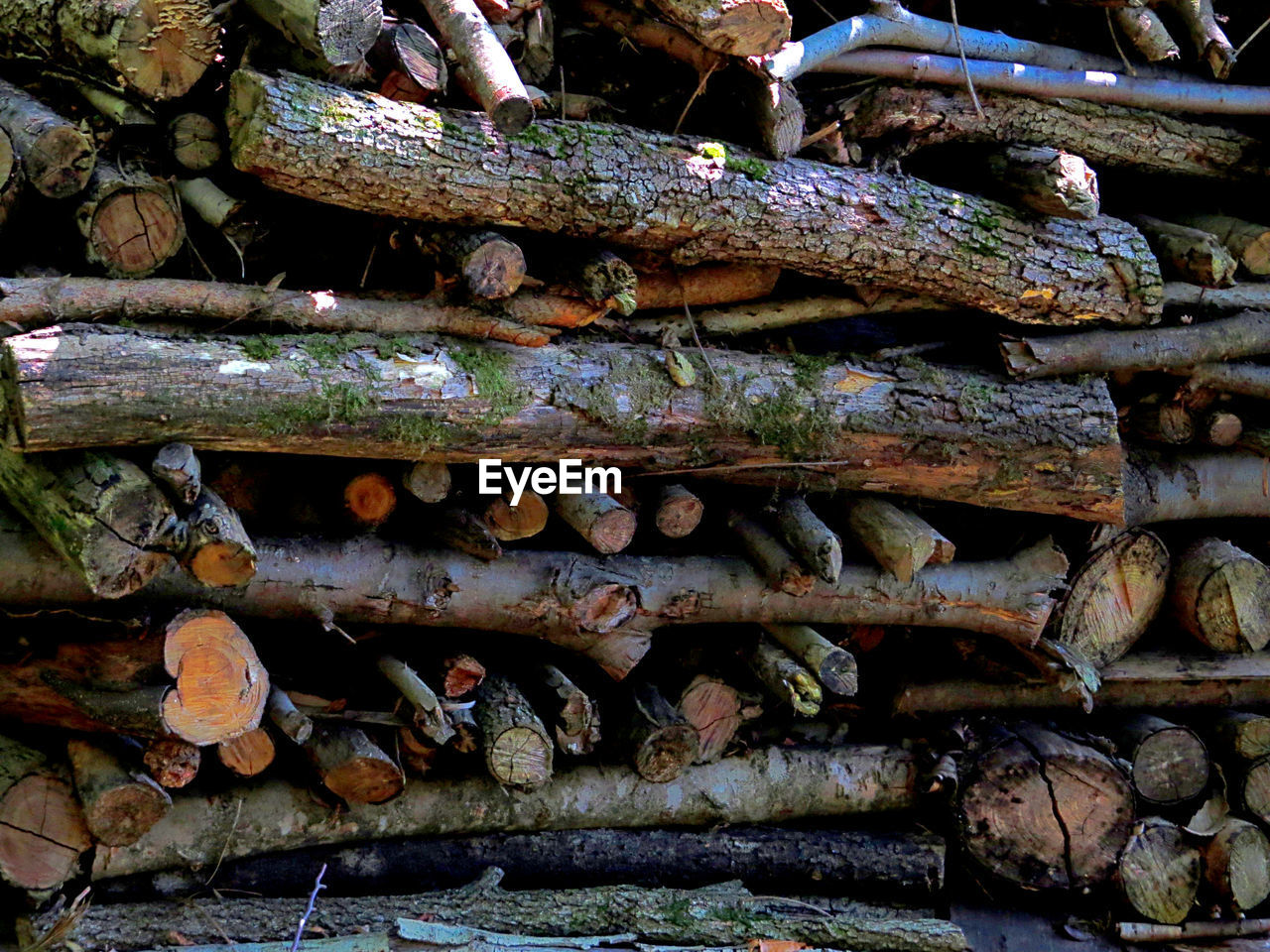 STACK OF LOGS IN LOG