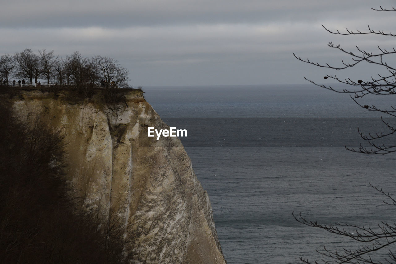 SCENIC VIEW OF SEA BY TREES AGAINST SKY