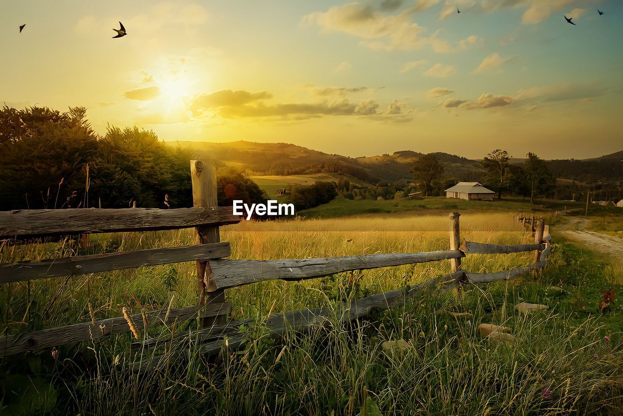 Scenic view of field against sky during sunset