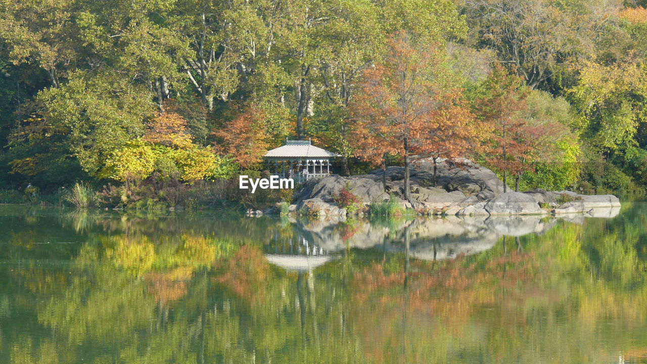 Autumn trees by lake