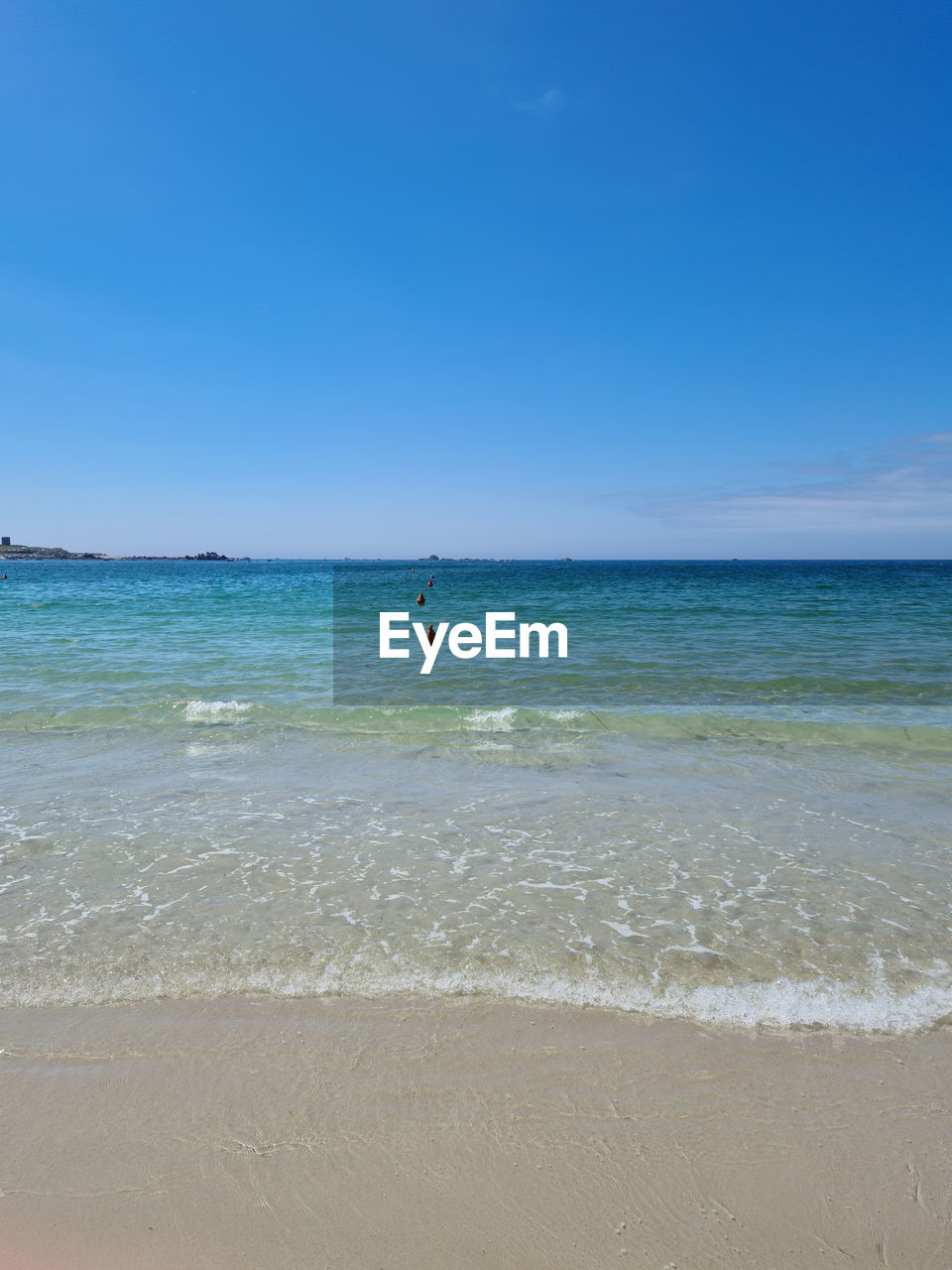 SCENIC VIEW OF BEACH AGAINST BLUE SKY