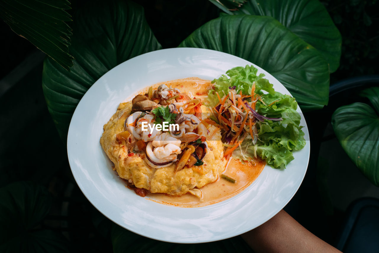 HIGH ANGLE VIEW OF FOOD IN PLATE