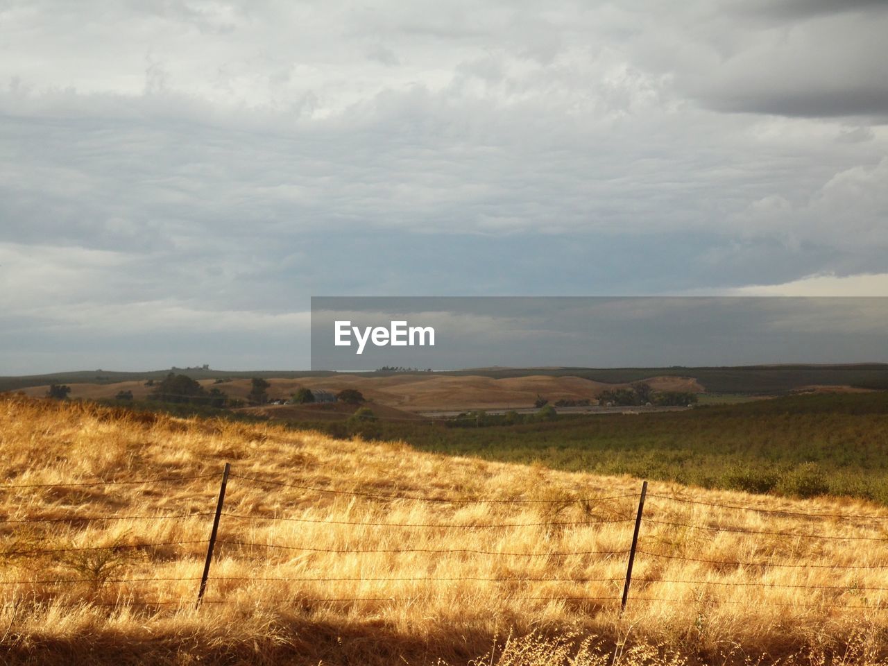 FIELD AGAINST SKY