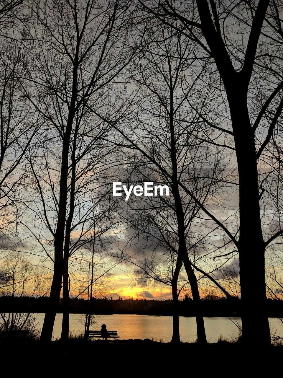 SILHOUETTE BARE TREES BY LAKE AGAINST SKY AT SUNSET