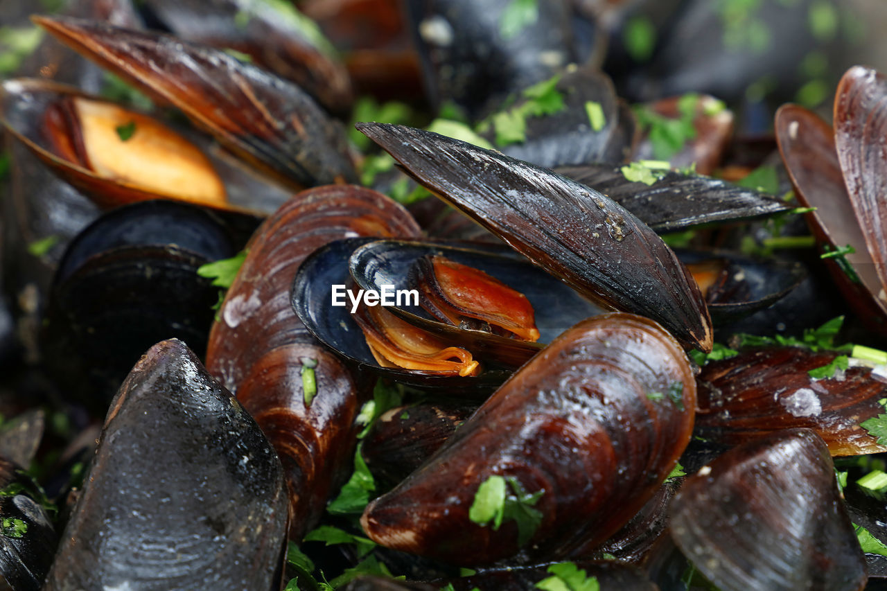 Full frame shot of roasted mussels with herbs