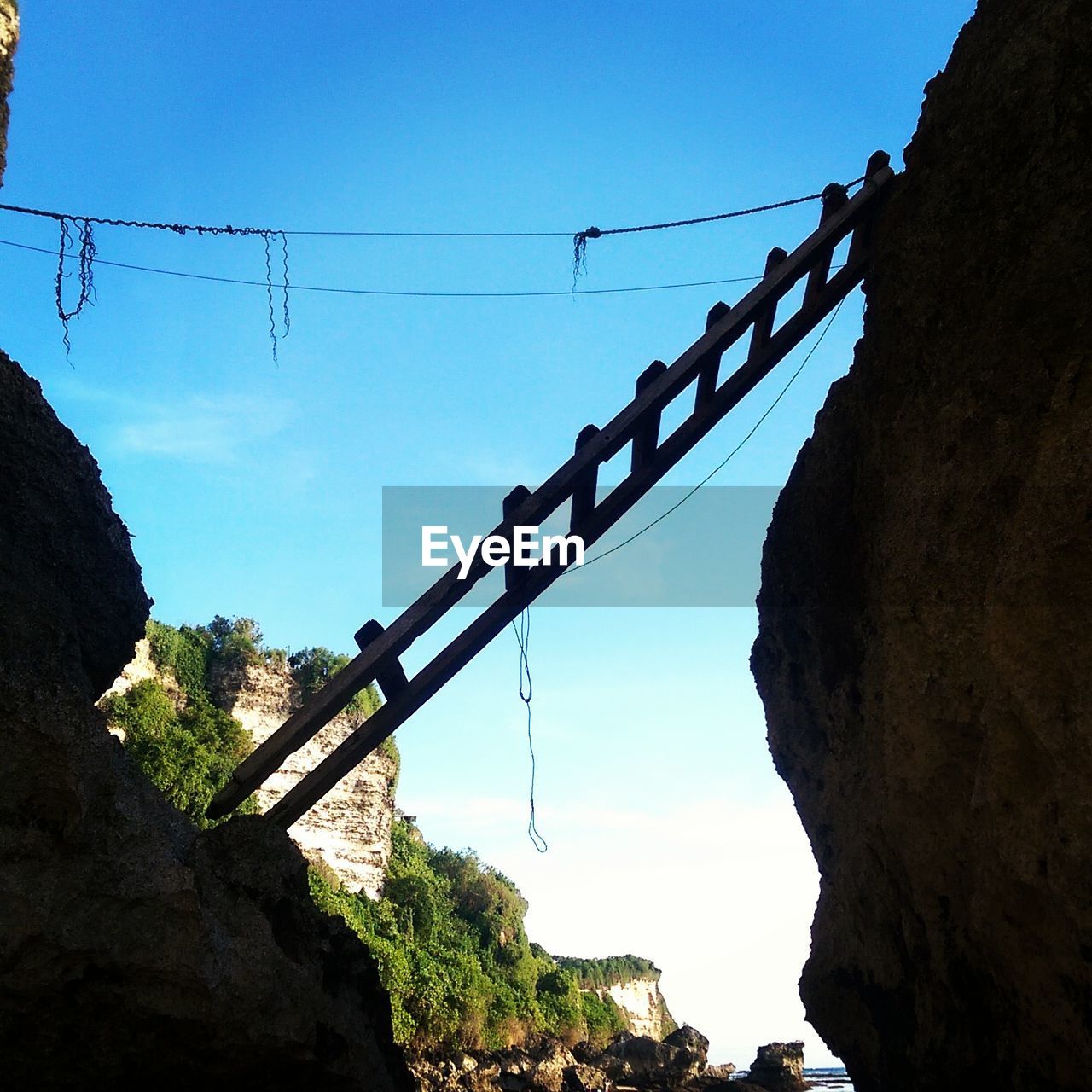 LOW ANGLE VIEW OF SKI LIFT HANGING FROM TREE