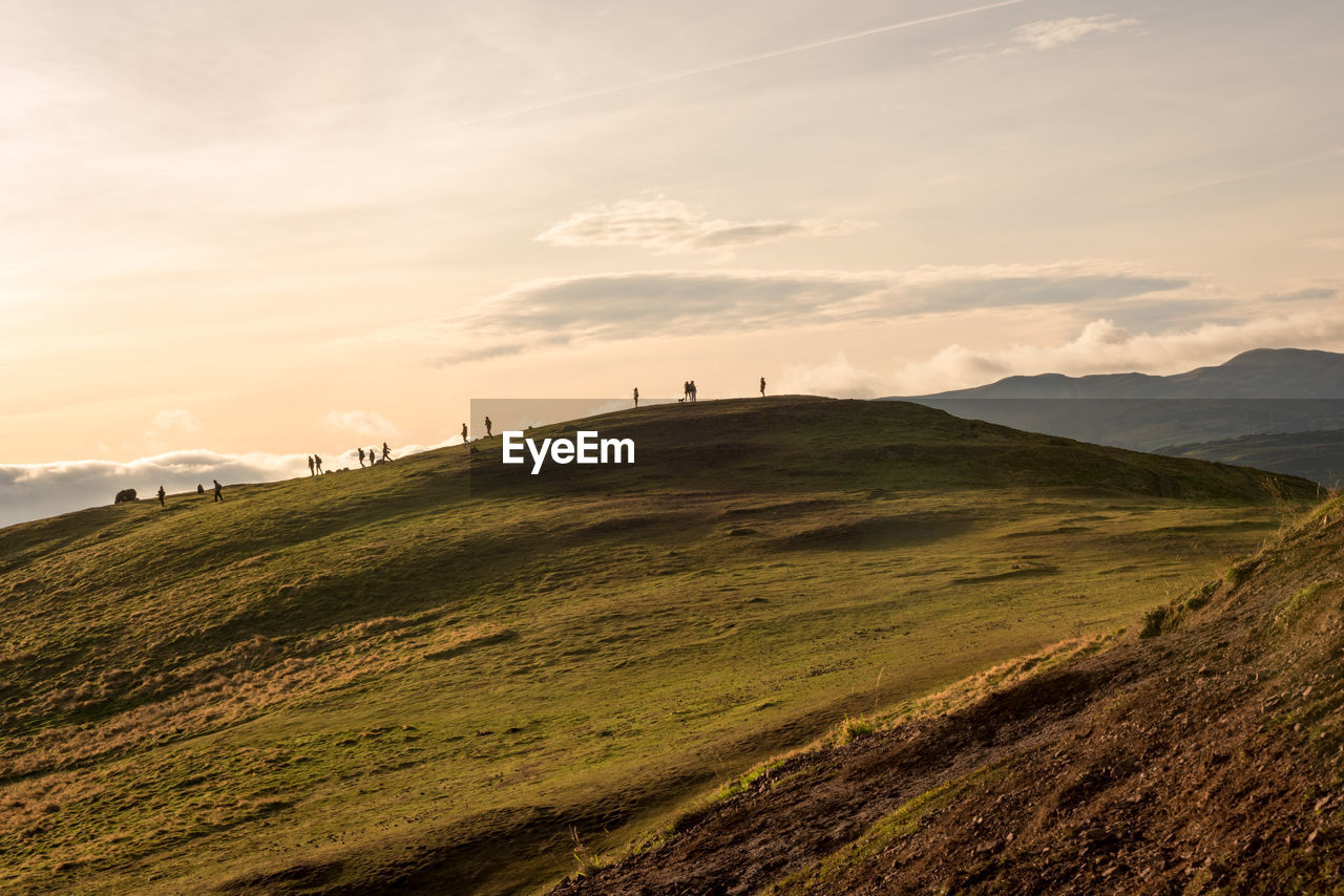 Scenic view of field against sky during sunset