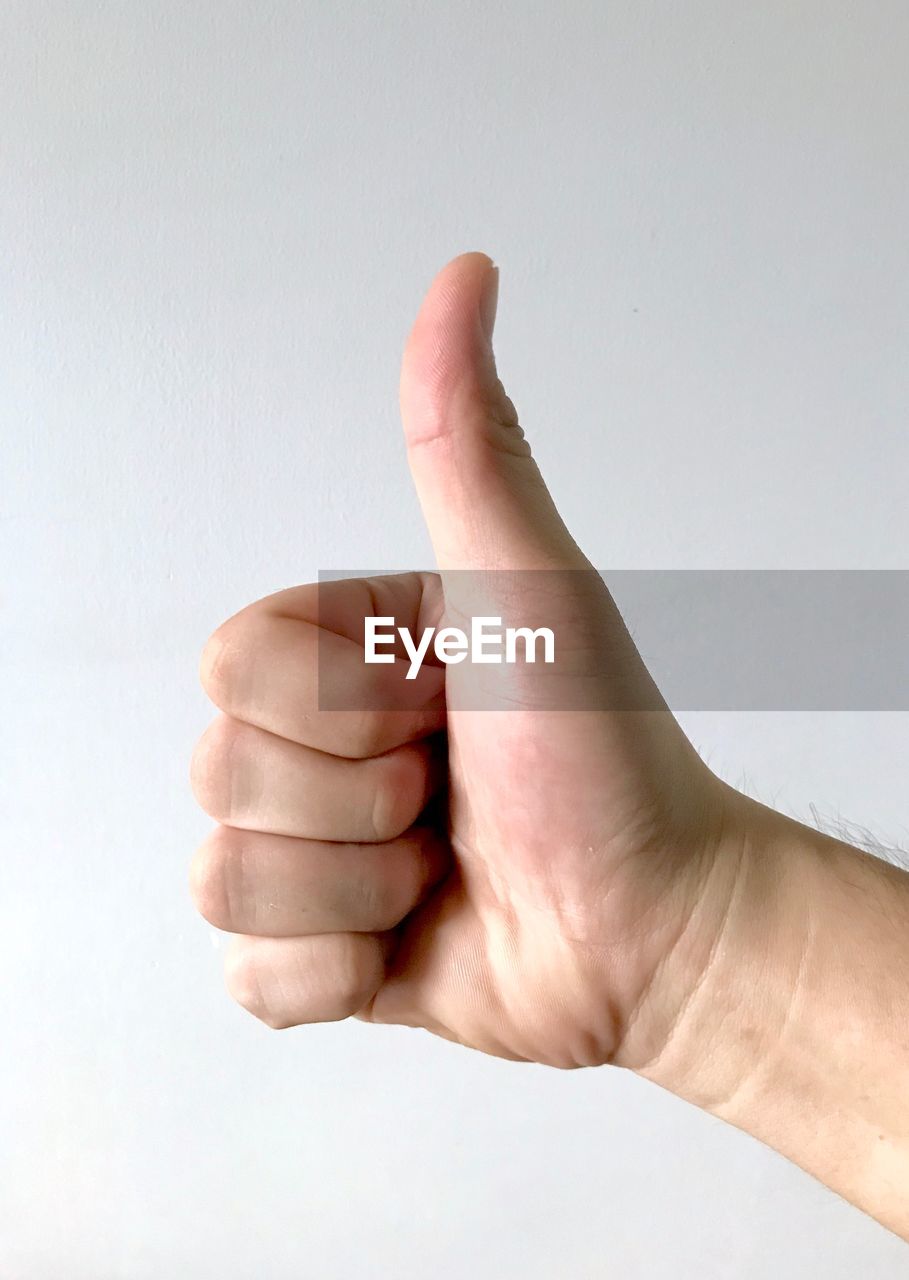 Close-up of human hand gesturing against white background