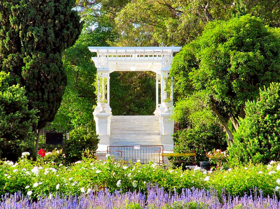 VIEW OF PLANTS IN GARDEN