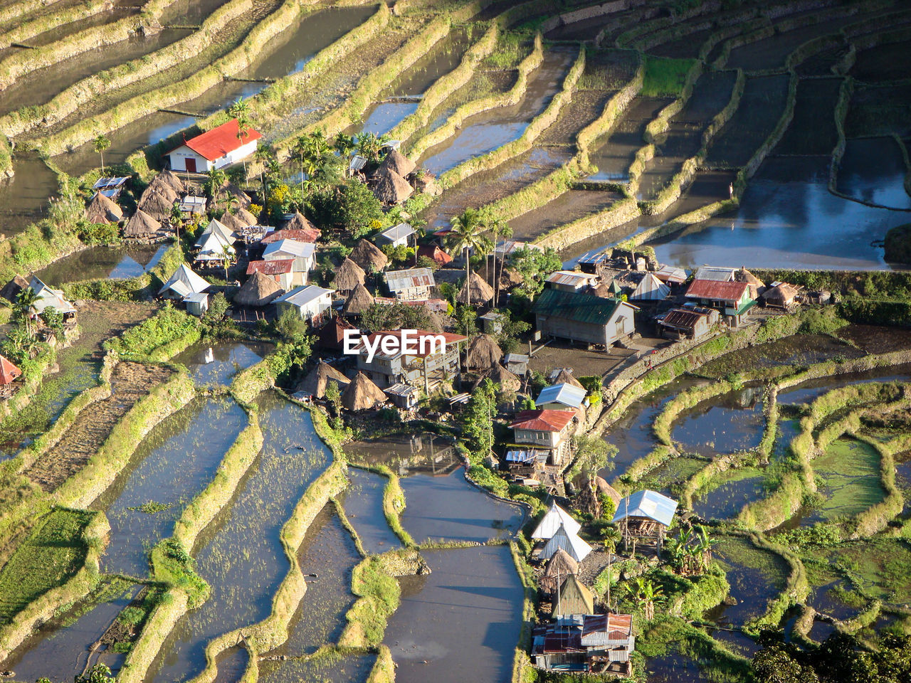 High angle view of agricultural field