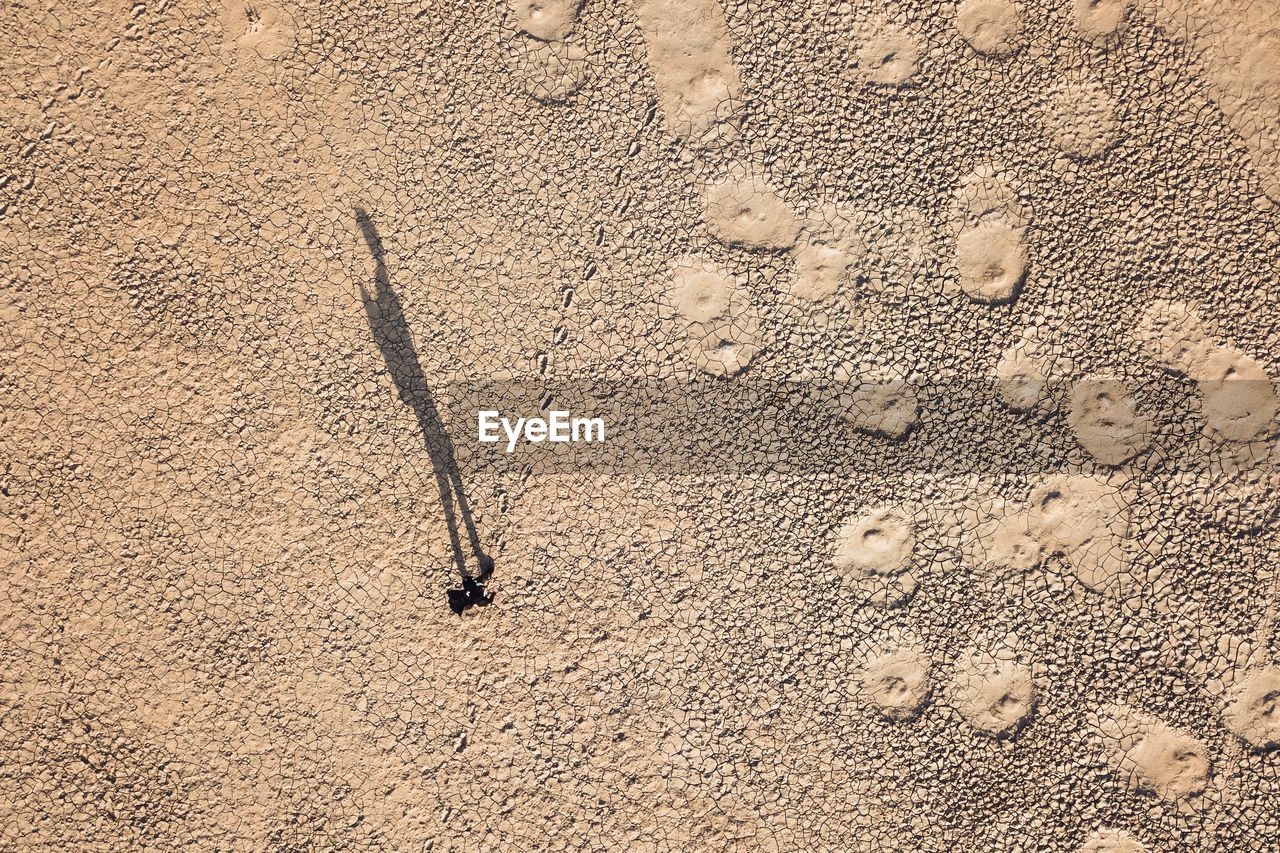 High angle view of footprints on wet sand