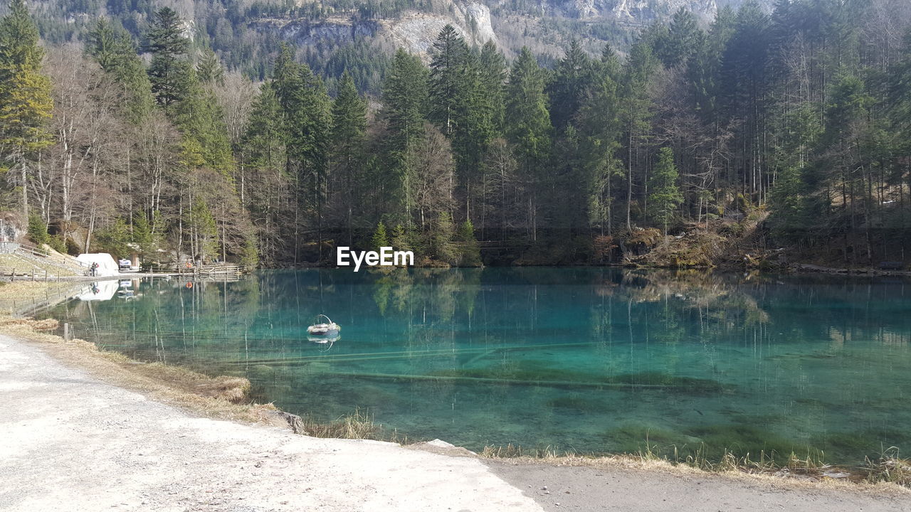 SCENIC VIEW OF LAKE AND TREES