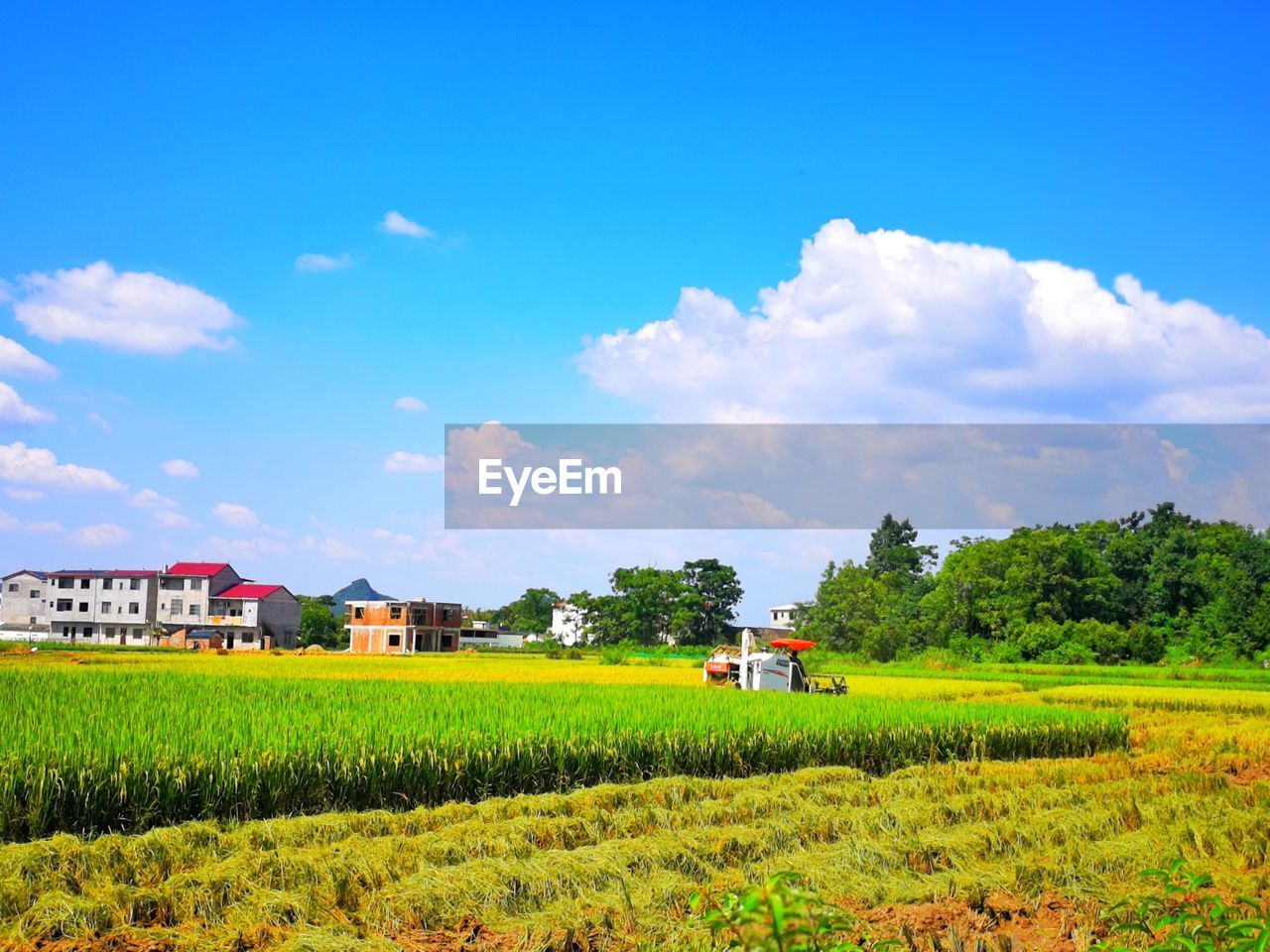 SCENIC VIEW OF FARM AGAINST SKY
