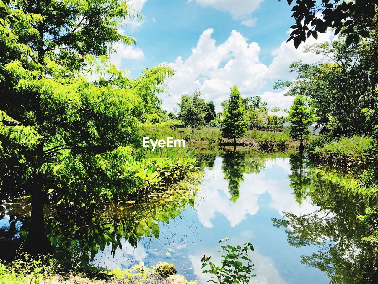 REFLECTION OF TREES ON LAKE AGAINST SKY