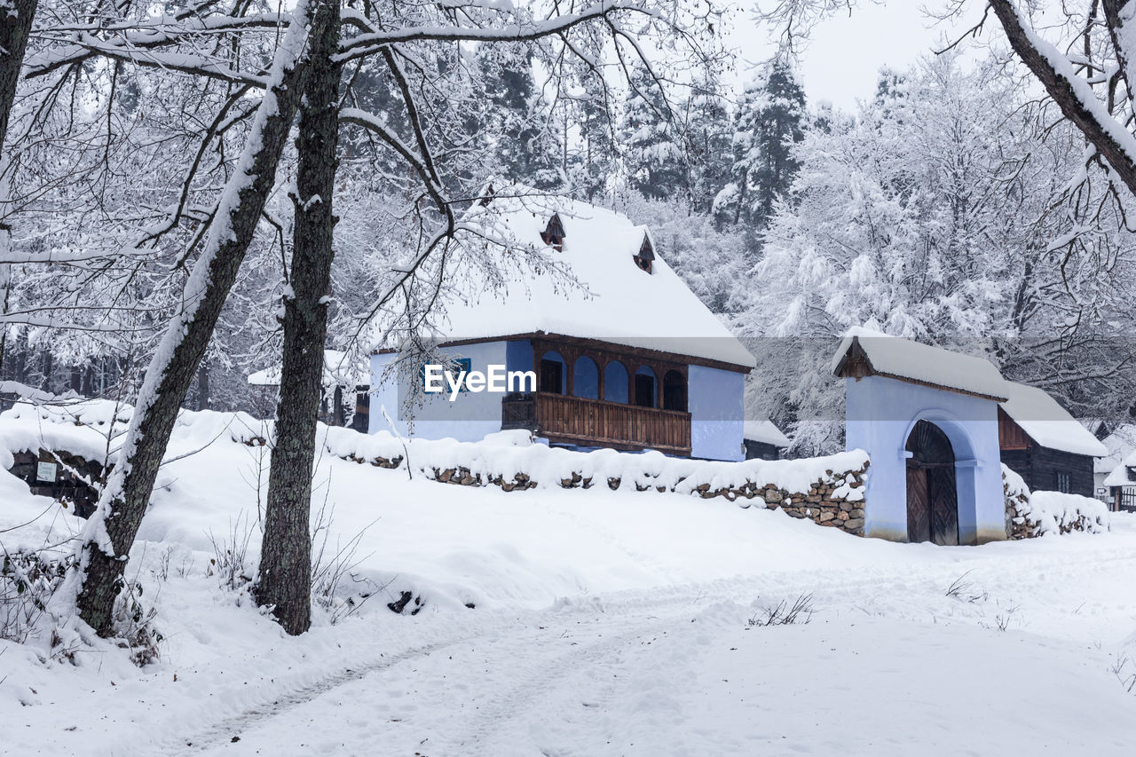 SNOW COVERED HOUSES AND TREES BY BUILDINGS