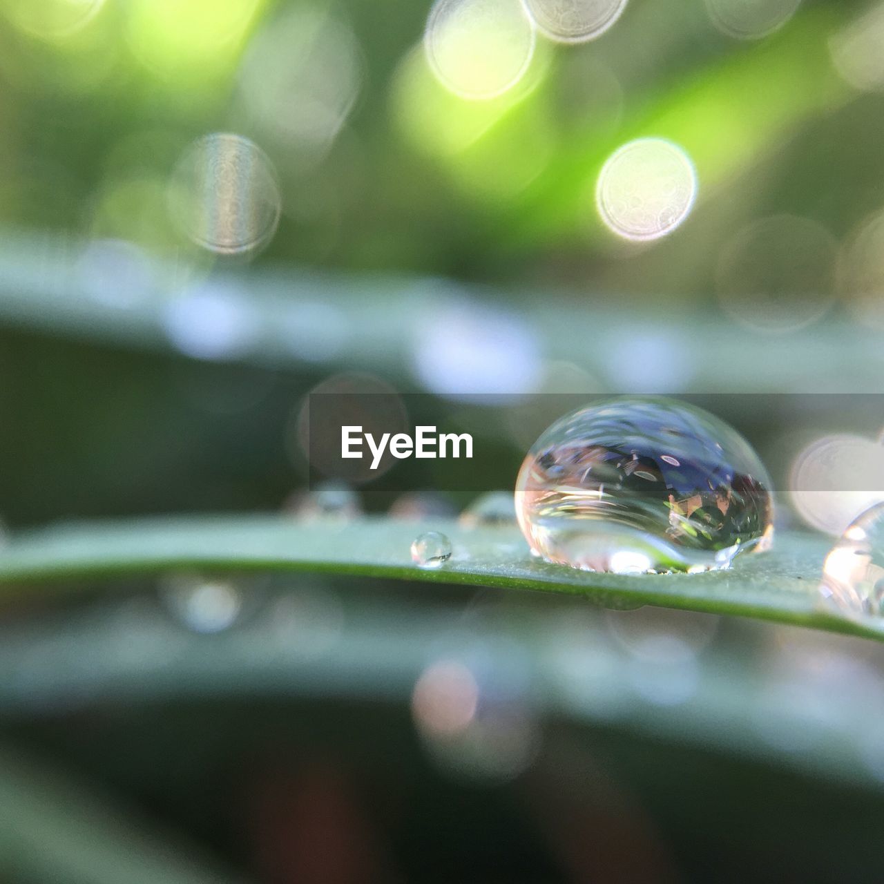 CLOSE-UP OF BUBBLES ON WATER