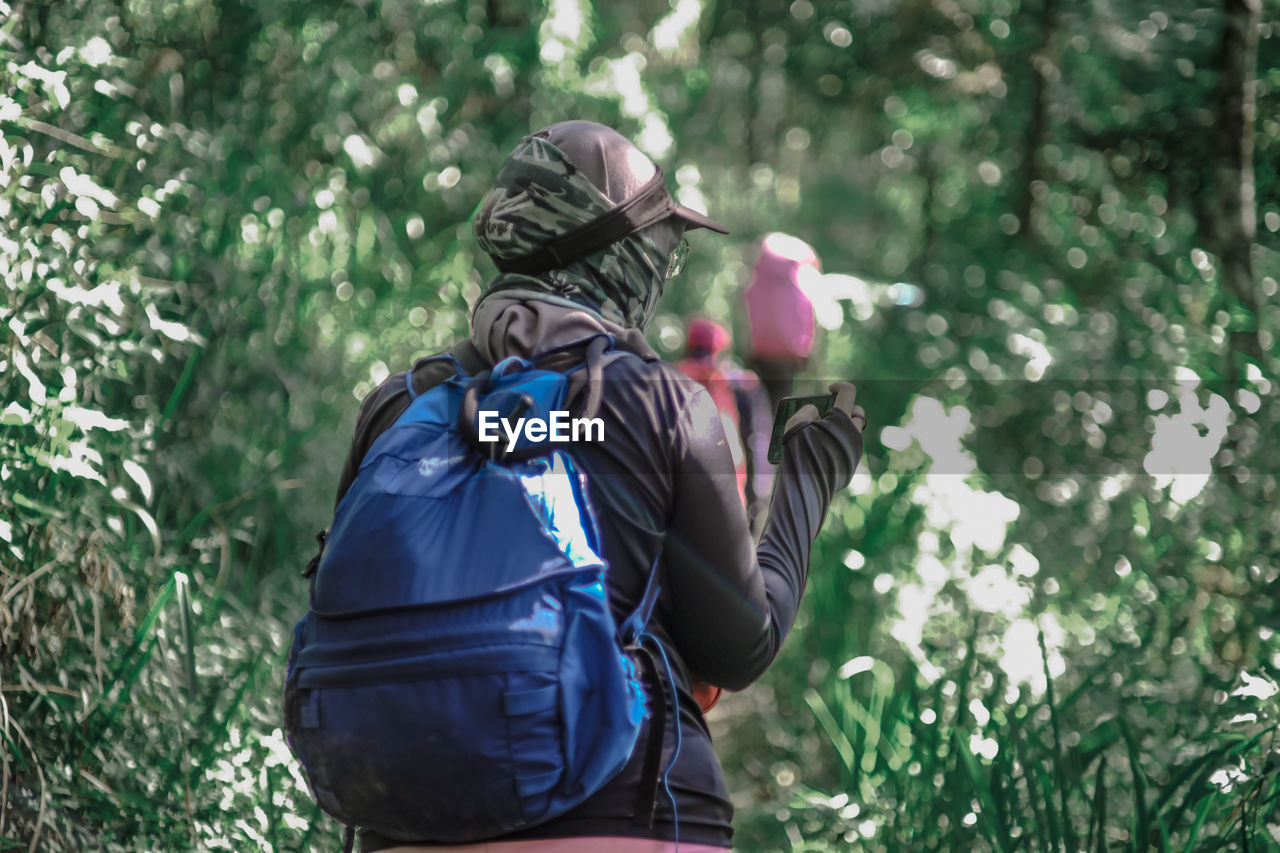 Rear view of woman standing amidst trees in forest