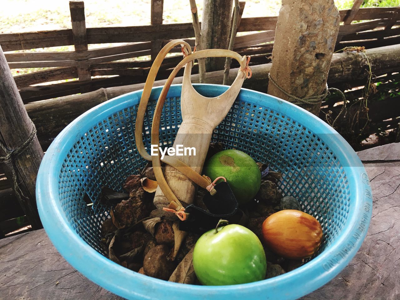 CLOSE-UP OF FRUITS IN BASKET OF TREE