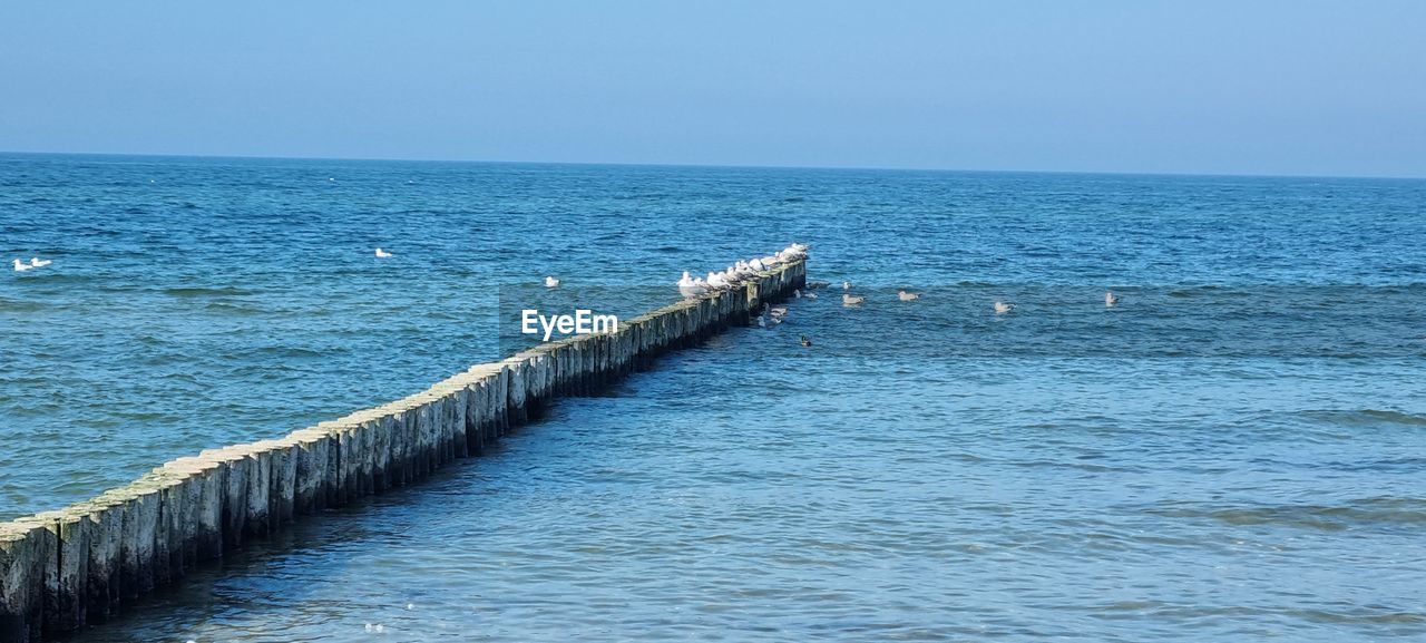 water, sea, horizon, horizon over water, sky, breakwater, ocean, shore, coast, scenics - nature, beauty in nature, nature, wave, day, blue, tranquil scene, no people, body of water, clear sky, tranquility, channel, outdoors, land, bay, beach, idyllic, pier, motion, non-urban scene