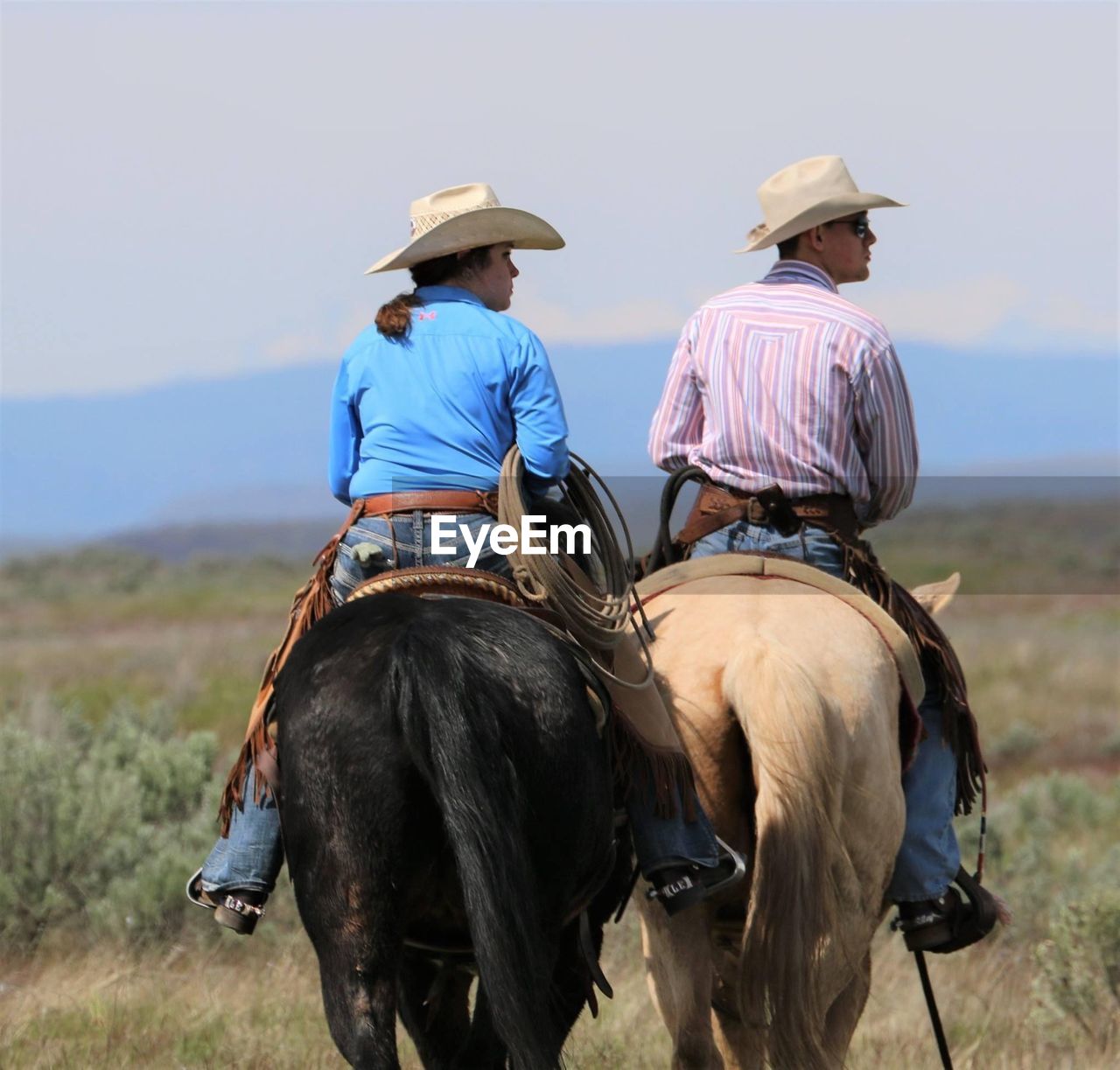 REAR VIEW OF MAN RIDING HORSES ON HORSE