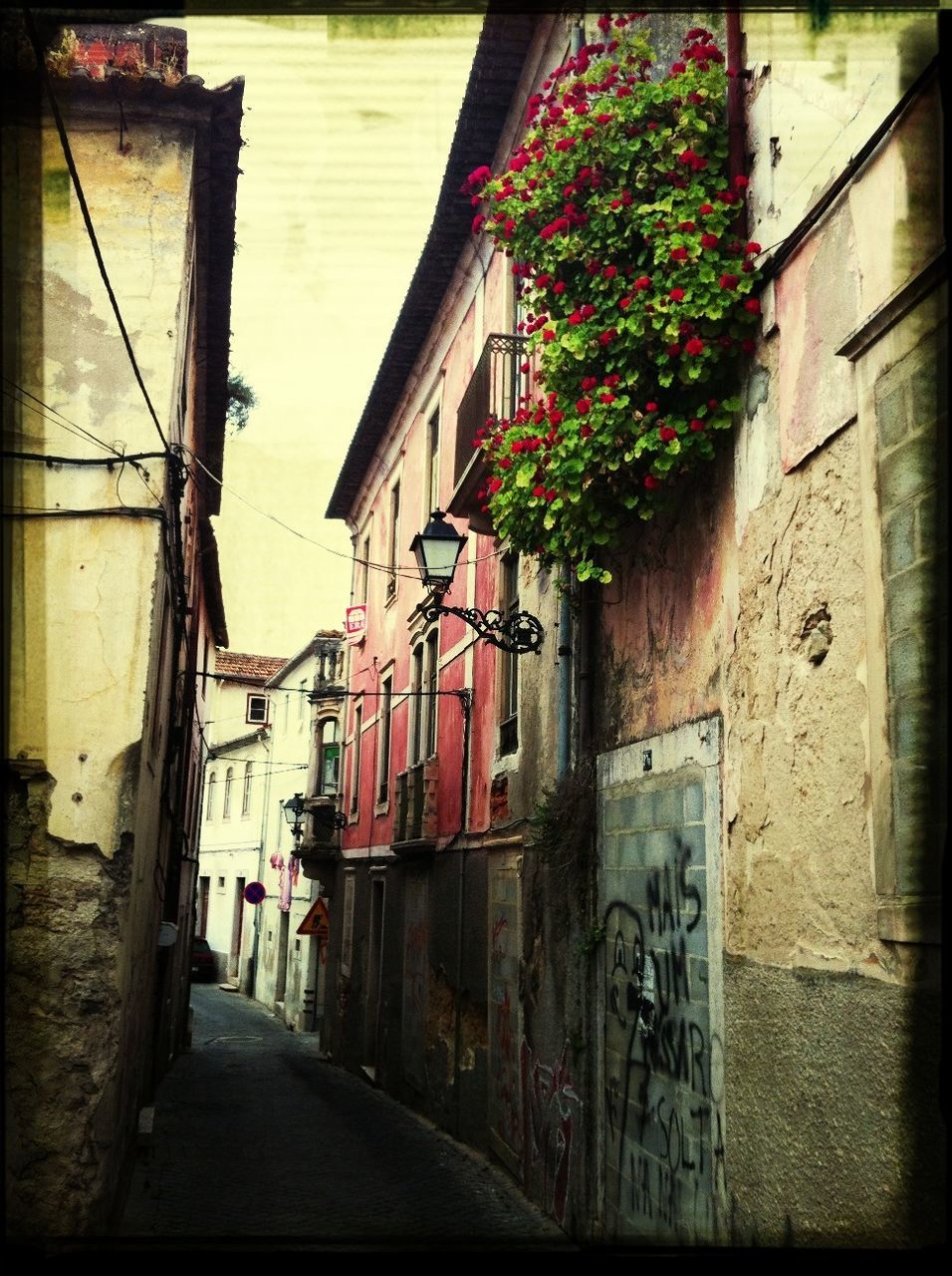 Footpath amidst houses against sky