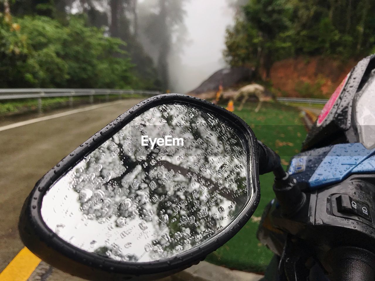 CLOSE-UP OF BICYCLE ON SIDE-VIEW MIRROR AGAINST CAR