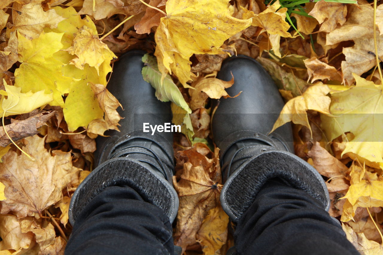 LOW SECTION OF PERSON STANDING BY DRY LEAVES