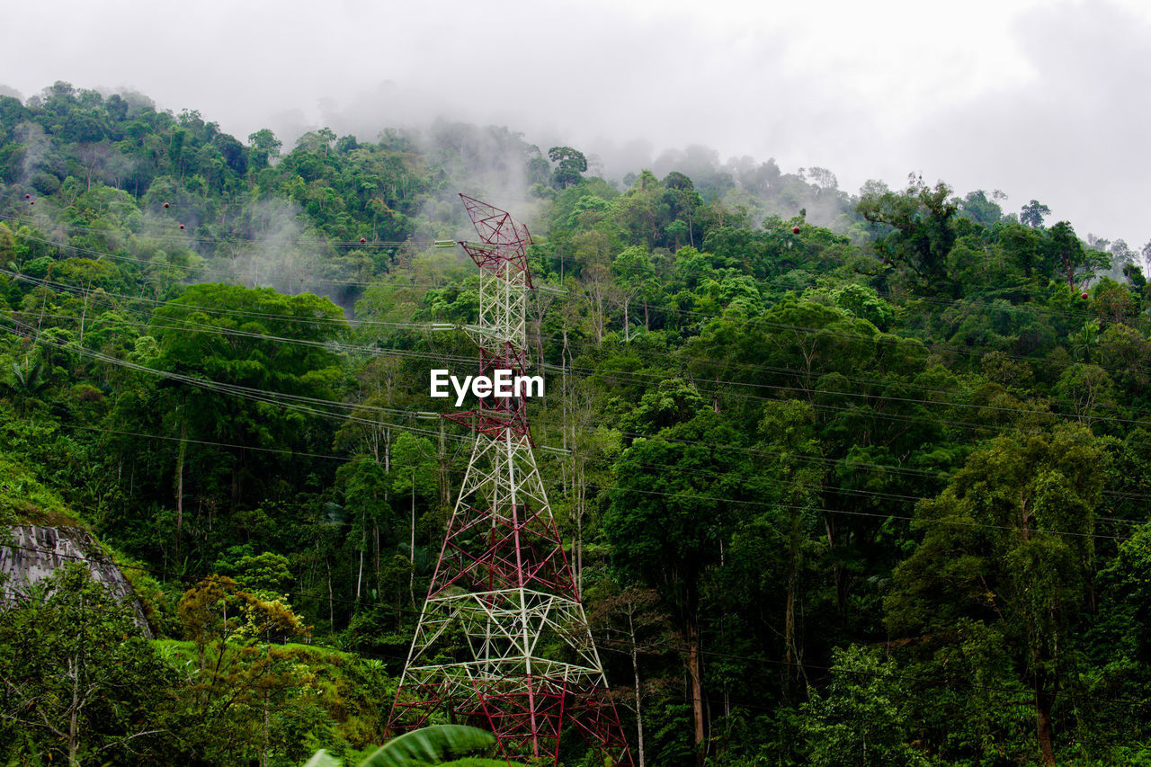 High-voltage electric towers in the fog against the background of the forest.