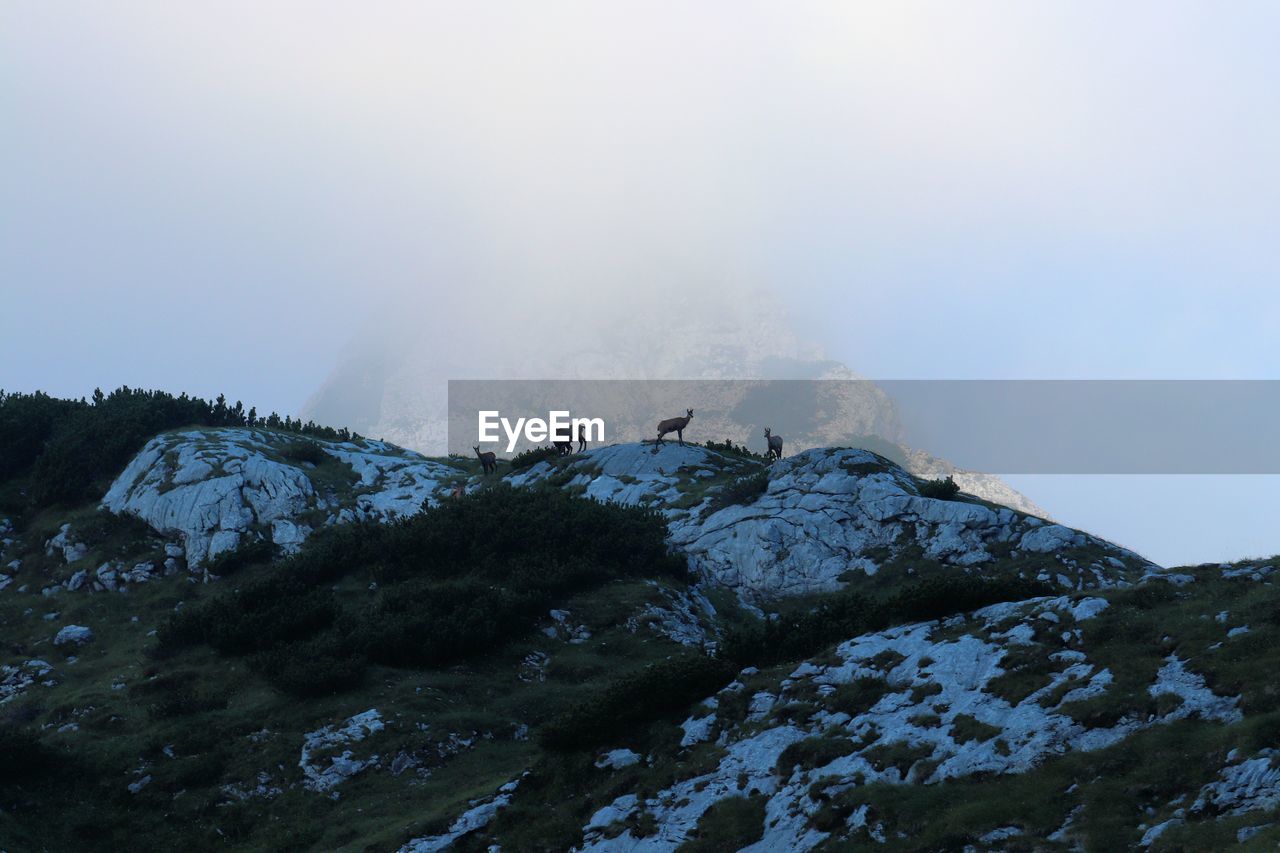 Scenic view of mountains against clear sky