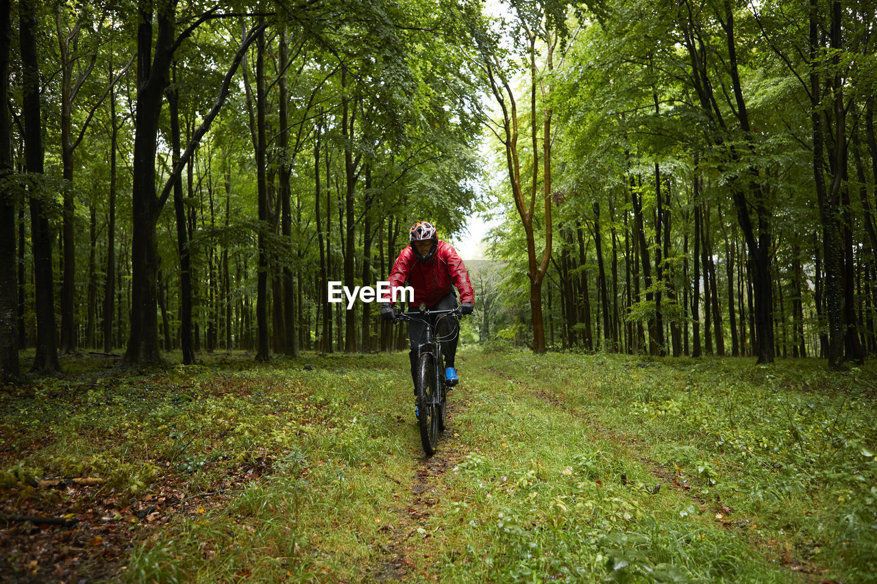 Male athlete wearing protective sportswear riding bicycle on forest path