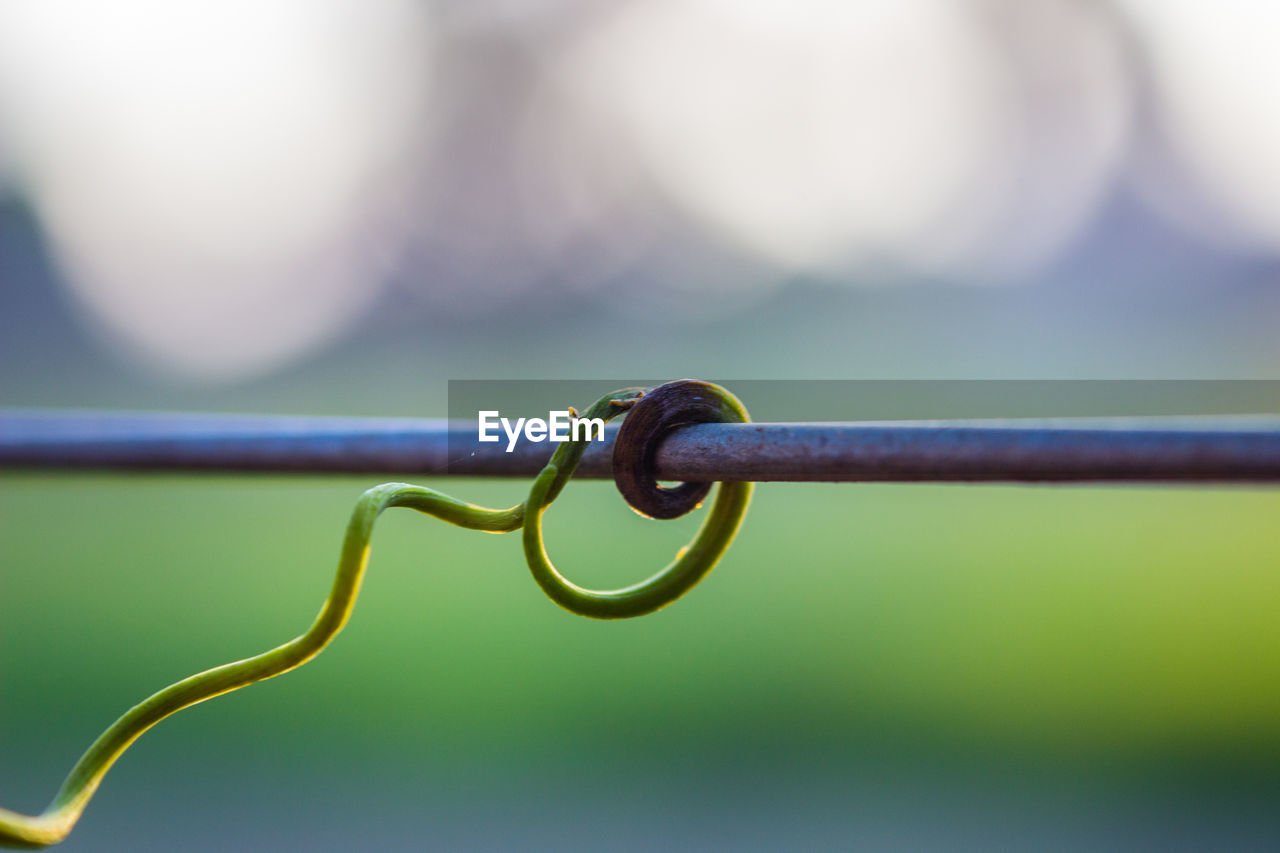 CLOSE-UP OF BARBED WIRE ON FENCE