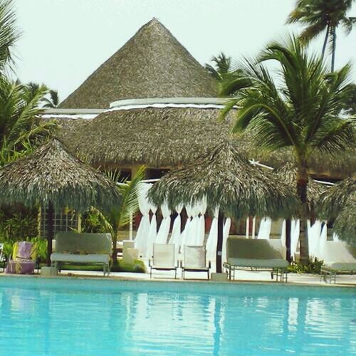 PALM TREES AT SEASIDE