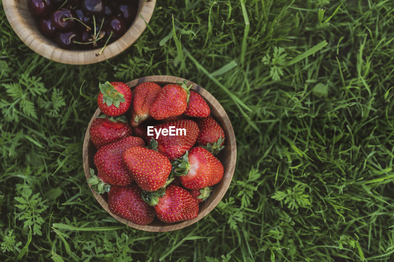 HIGH ANGLE VIEW OF STRAWBERRY ON FIELD