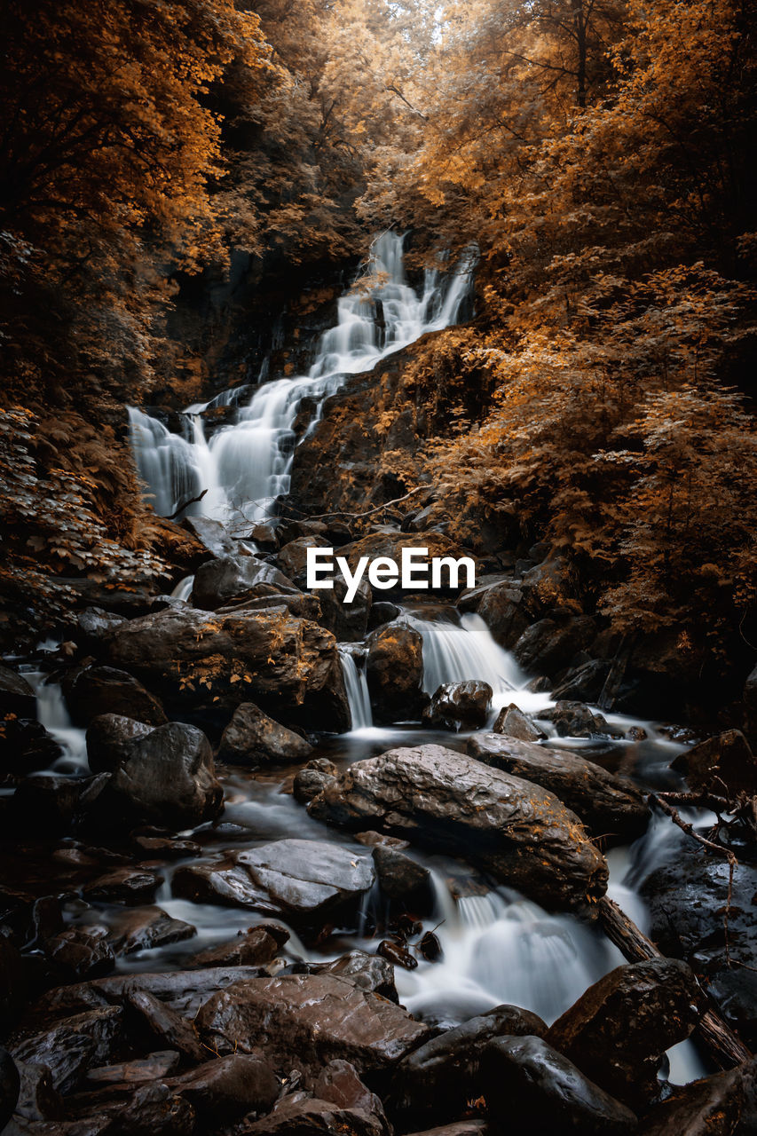 Scenic view of waterfall in forest during autumn