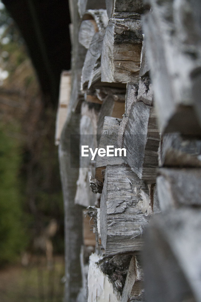 CLOSE-UP VIEW OF WOOD