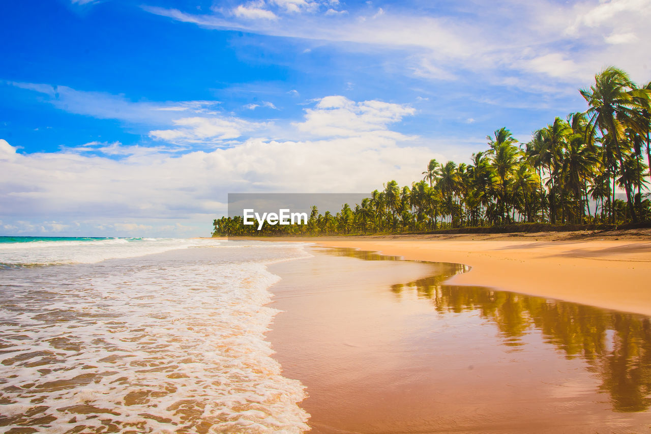 Scenic view of beach against sky