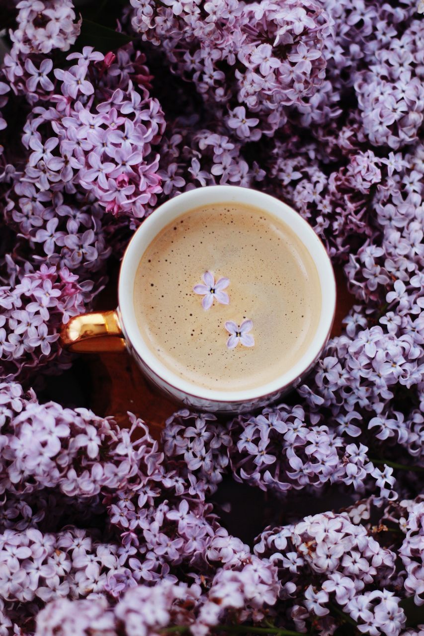 HIGH ANGLE VIEW OF COFFEE CUP WITH RED AND PURPLE ROSES