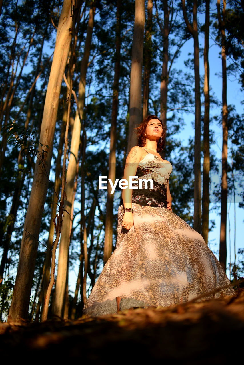 Low angle view of woman standing against trees in forest