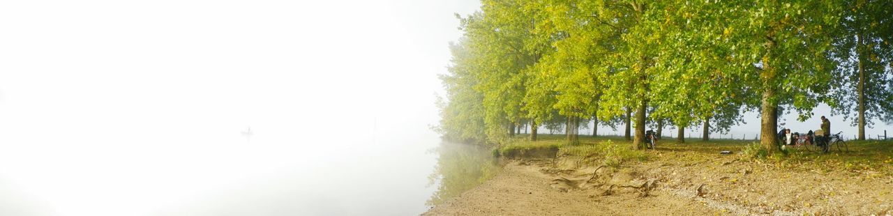 DIRT ROAD PASSING THROUGH RURAL LANDSCAPE