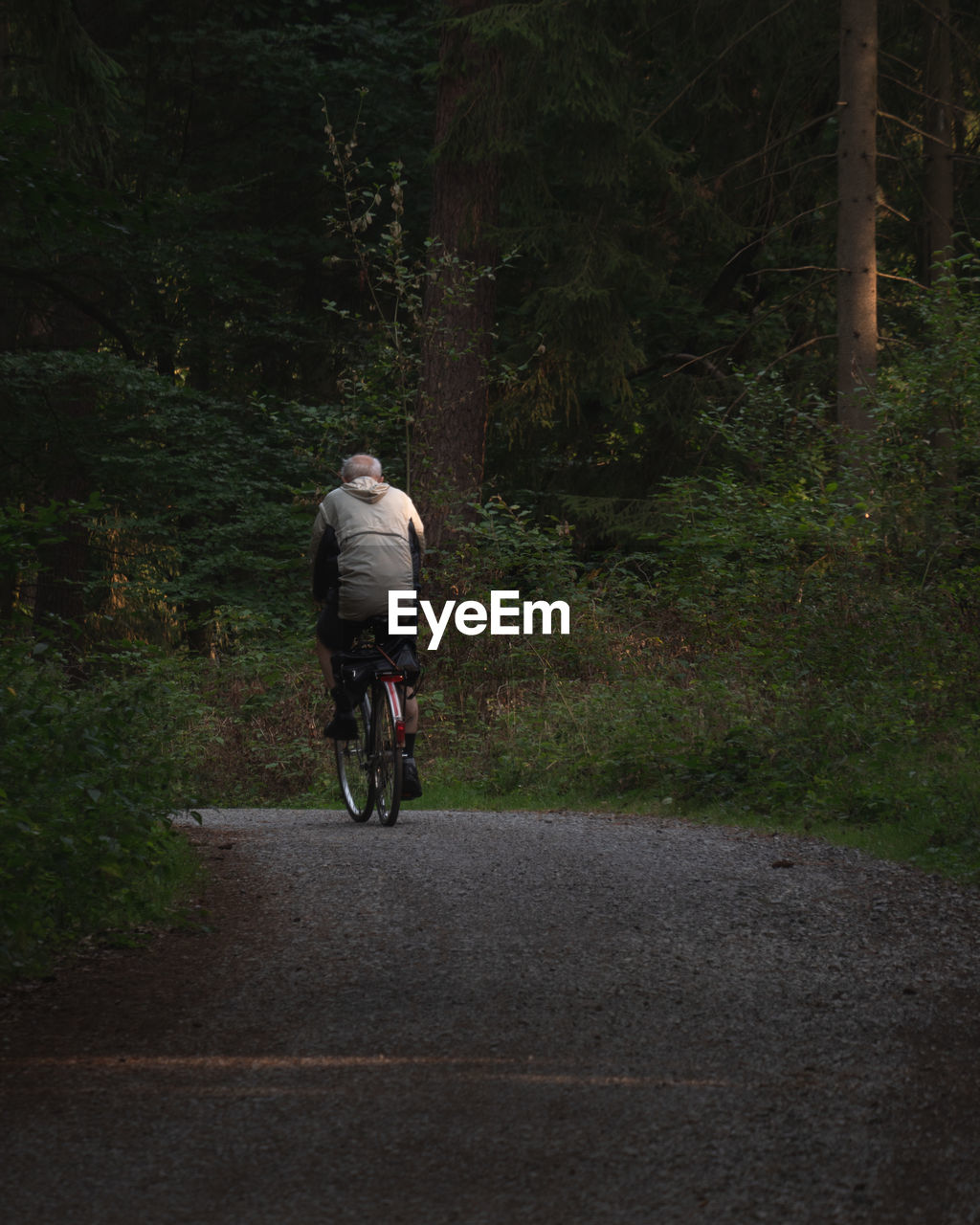 Rear view of man riding bicycle on road