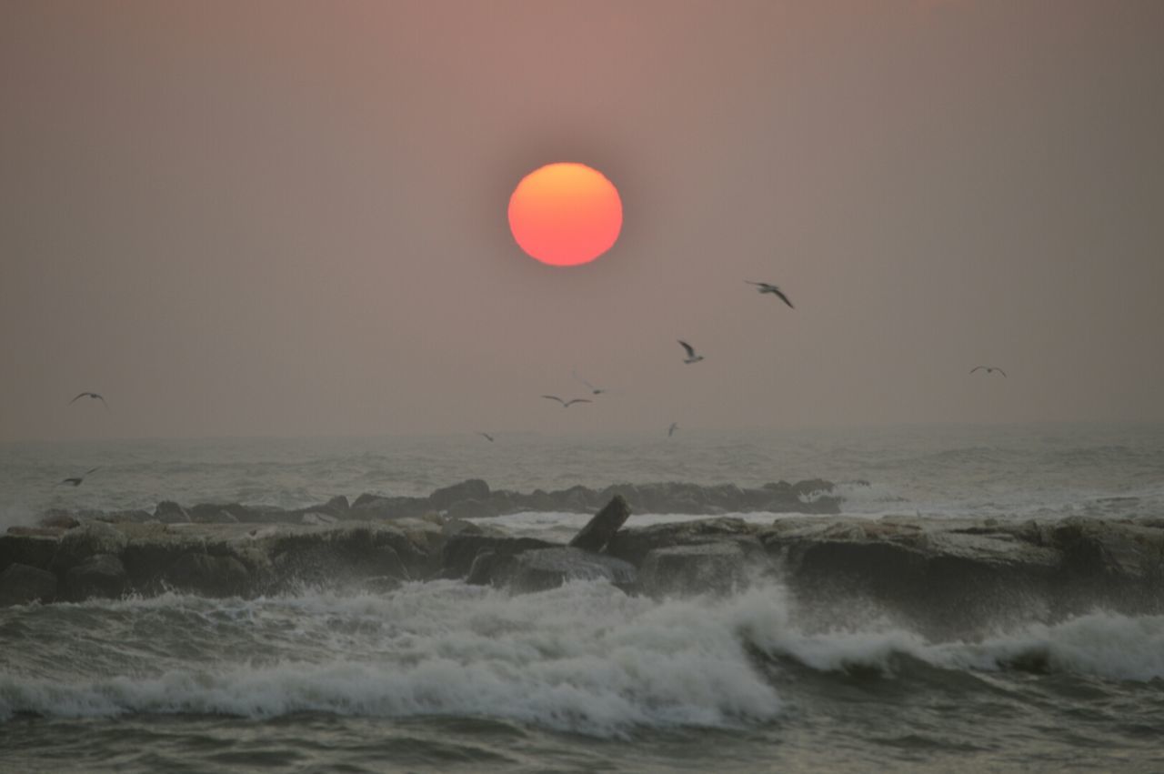 BIRD FLYING OVER SEA AGAINST CLEAR SKY