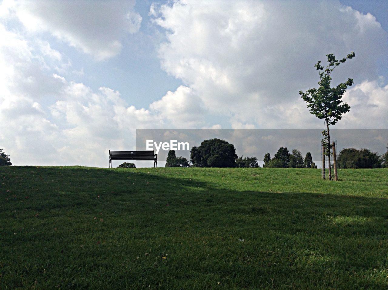 TREES ON GRASSY FIELD AGAINST CLOUDY SKY