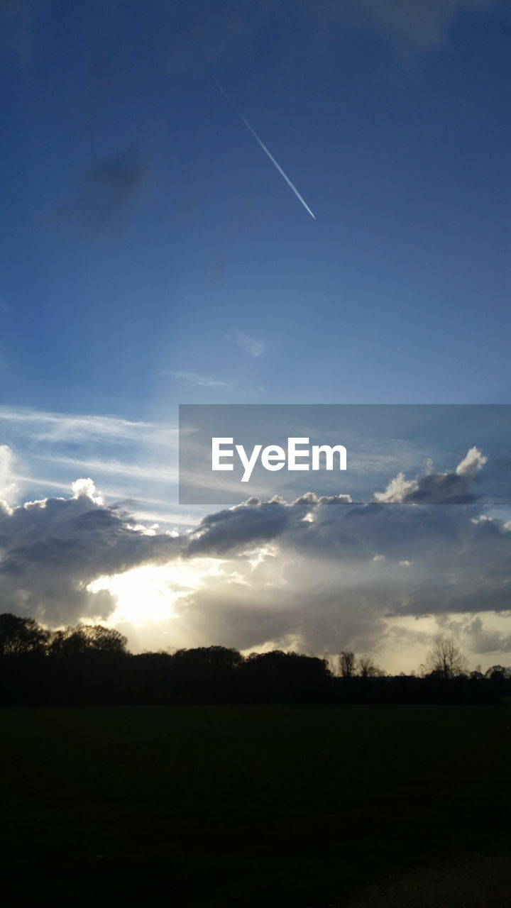 Silhouette trees on field against sky during sunset